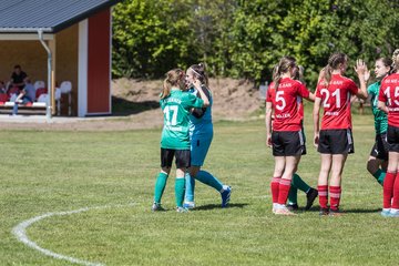 Bild 18 - F SG NieBar - IF Stjernen Flensborg : Ergebnis: 2:0